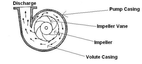 What are Parts & Functions of a Centrifugal Water Pump?