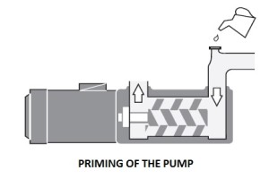 priming of screw pump
